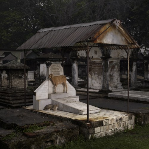 Peneleh Cemetery, Surabaya